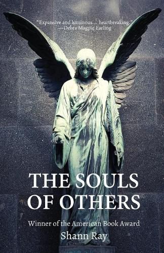 Cover image for The Souls of Others