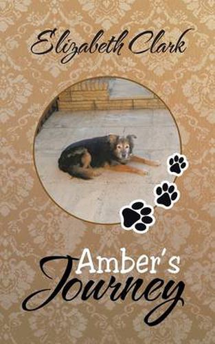 Cover image for Amber's Journey