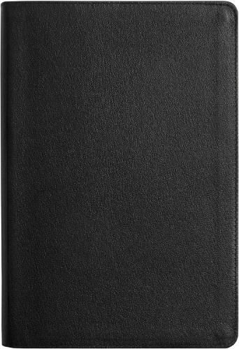 Cover image for ESV Everyday Gospel Bible