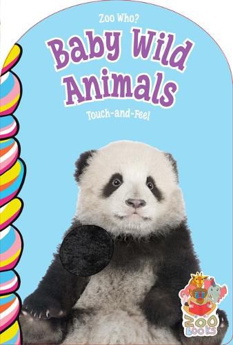 Cover image for Baby Wild Animals Touch and Feel
