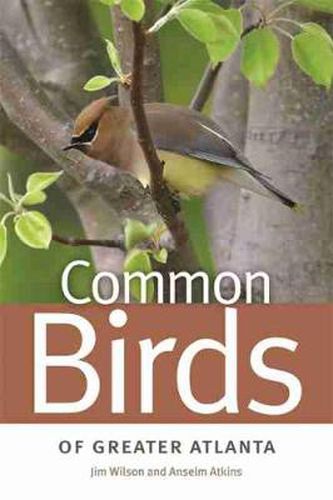 Cover image for Common Birds of Greater Atlanta