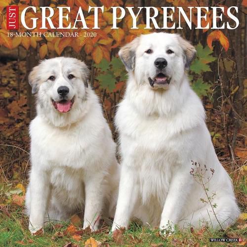 Cover image for Just Great Pyrenees 2020 Wall Calendar (Dog Breed Calendar)