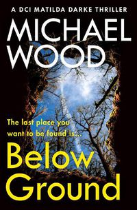 Cover image for Untitled Michael Wood Book 11