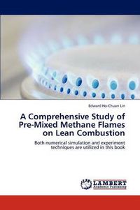 Cover image for A Comprehensive Study of Pre-Mixed Methane Flames on Lean Combustion