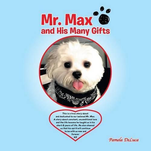 Cover image for Mr. Max and His Many Gifts