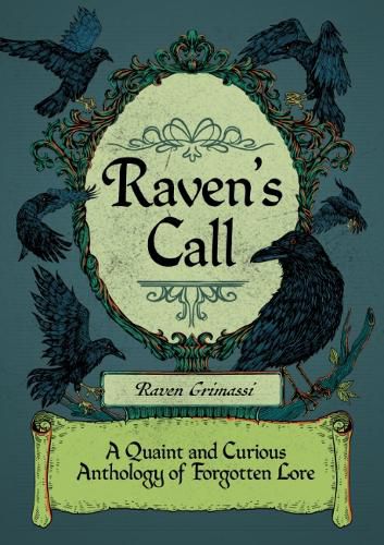 Cover image for Raven'S Call