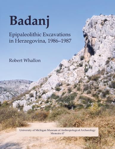 Cover image for Badanj
