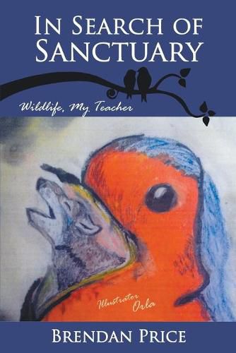 Cover image for In Search of Sanctuary: Wildlife, My Teacher