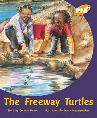 The Freeway Turtles