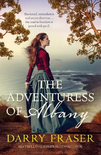 Cover image for The Adventuress of Albany