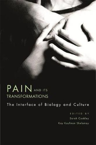 Cover image for Pain and Its Transformations: The Interface of Biology and Culture