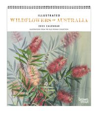 Cover image for 2025 Illustrated Wildflowers of Australia Deluxe Calendar