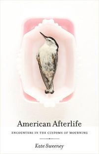 Cover image for American Afterlife: Encounters in the Customs of Mourning