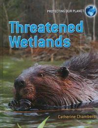 Cover image for Threatened Wetlands