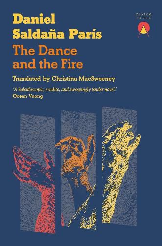 Cover image for The Dance and the Fire