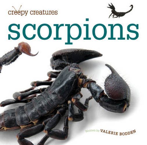 Cover image for Creepy Creatures: Scorpions