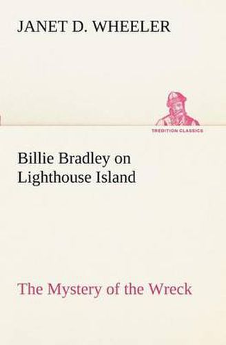 Cover image for Billie Bradley on Lighthouse Island The Mystery of the Wreck