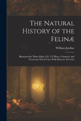 Cover image for The Natural History of the Felinae