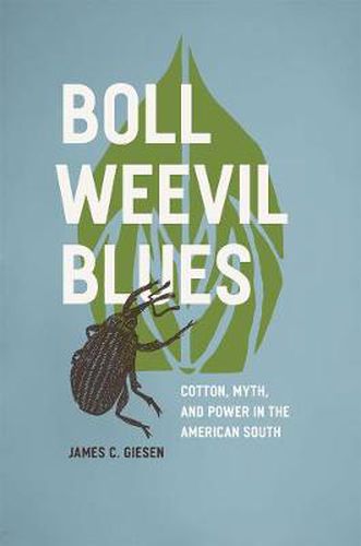 Cover image for Boll Weevil Blues: Cotton, Myth, and Power in the American South, 1892-1930