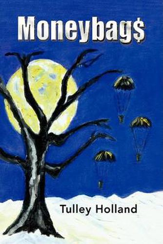 Cover image for Moneybags