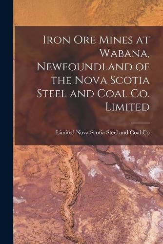 Cover image for Iron Ore Mines at Wabana, Newfoundland of the Nova Scotia Steel and Coal Co. Limited [microform]