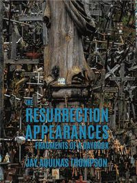 Cover image for The Resurrection Appearances: Fragments of a Daybook
