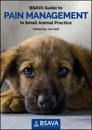 Cover image for BSAVA Guide to Pain Management in Small Animal Practice