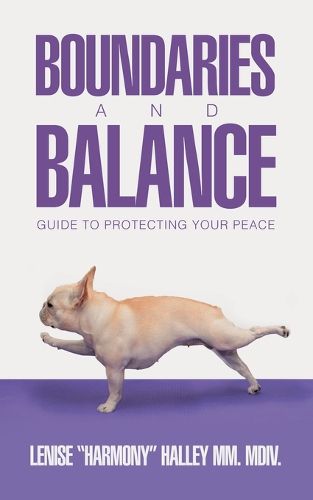 Cover image for Boundaries and Balance