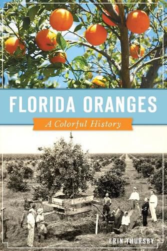 Cover image for Florida Oranges: A Colorful History