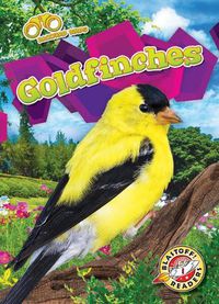 Cover image for Goldfinches