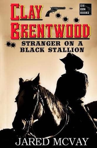 Cover image for Stranger on a Black Stallion