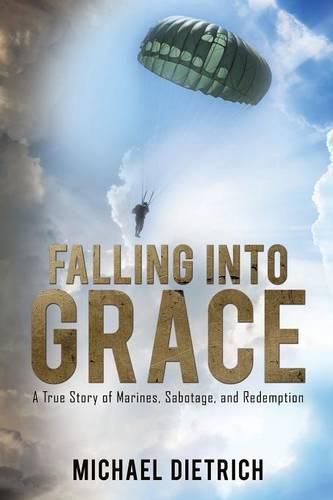 Cover image for Falling Into Grace