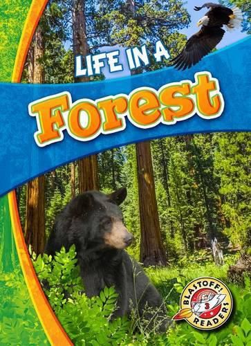 Cover image for Life In A Forest