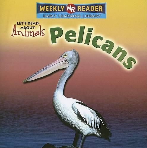 Cover image for Pelicans