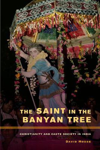 Cover image for The Saint in the Banyan Tree: Christianity and Caste Society in India