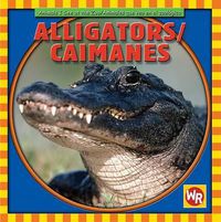 Cover image for Alligators / Caimanes