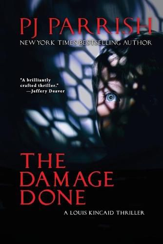 Cover image for The Damage Done: A Louis Kincaid Thriller