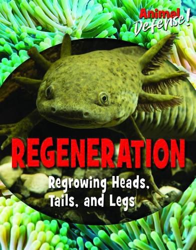 Cover image for Regeneration: Regrowing Heads, Tails, and Legs