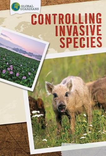 Cover image for Controlling Invasive Species