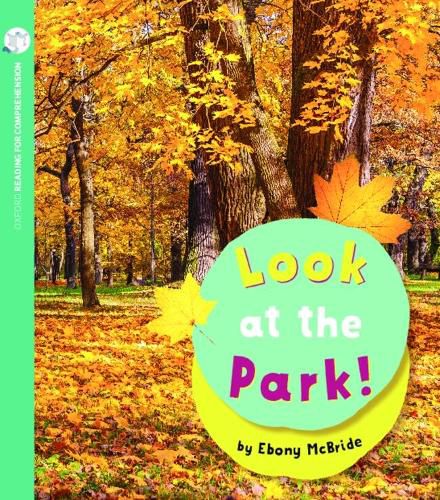 Cover image for Reading for Comprehension Oxford Level 2: Look at the Park