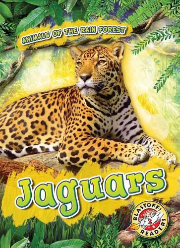 Cover image for Jaguars