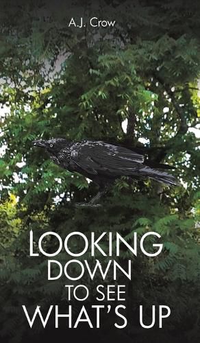 Cover image for Looking Down to See What's Up