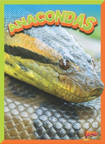 Cover image for Anacondas