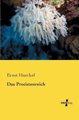 Cover image for Das Protistenreich
