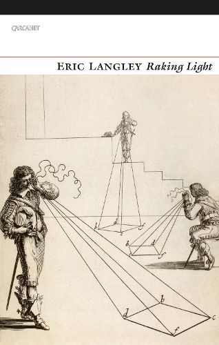 Cover image for Raking Light