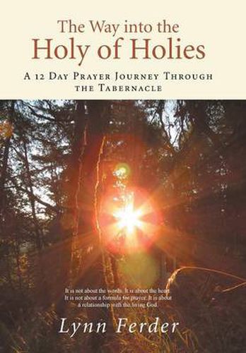 Cover image for The Way into the Holy of Holies: A 12 Day Prayer Journey Through the Tabernacle