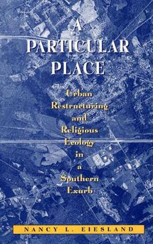 Cover image for A Particular Place: Urban Restructuring and Religious Ecology in a Southern Exurb