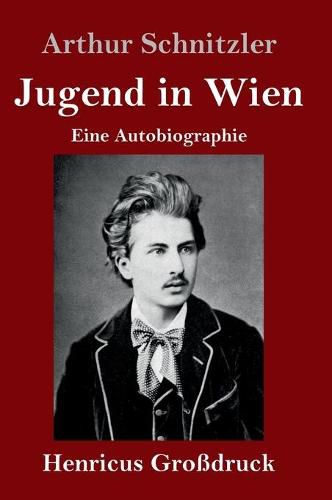 Cover image for Jugend in Wien (Grossdruck): Eine Autobiographie