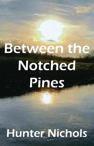 Cover image for Between the Notched Pines