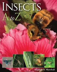 Cover image for Insects A to Z